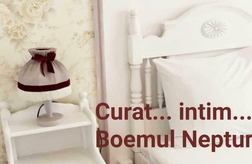 スタンダードルーム, Boemul Neptun