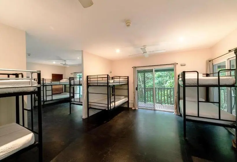 تختخواب در اتاق مشترک, Halse Lodge Noosa Heads