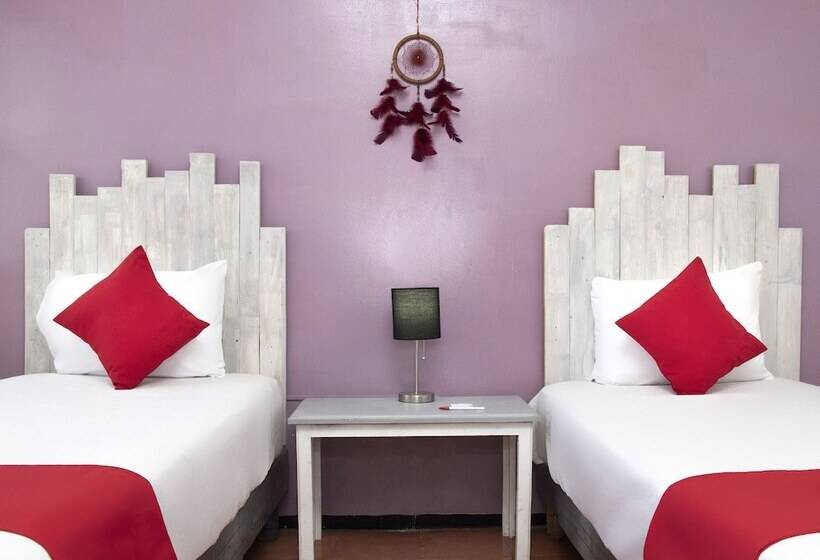 اتاق استاندارد, Allende 104