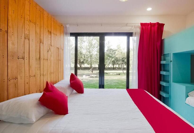 スタンダード5人部屋, Capital O Hacienda Filadelfia, El Atorón, Irapuato