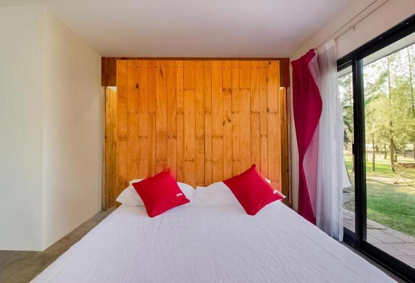 スタンダード5人部屋, Capital O Hacienda Filadelfia, El Atorón, Irapuato