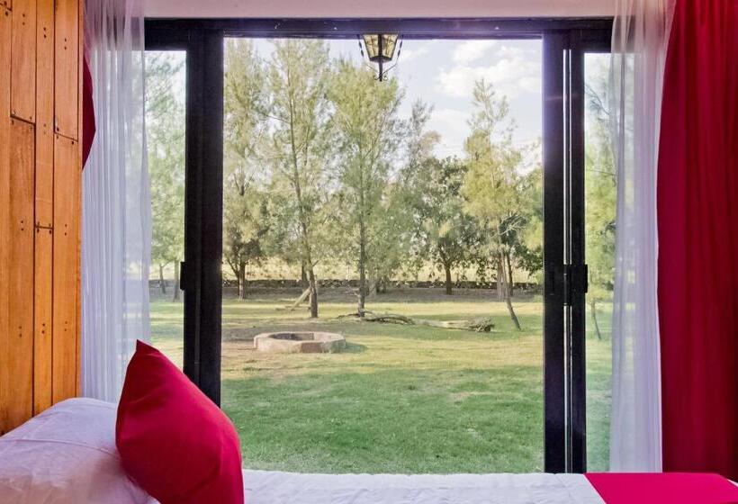 スタンダード5人部屋, Capital O Hacienda Filadelfia, El Atorón, Irapuato