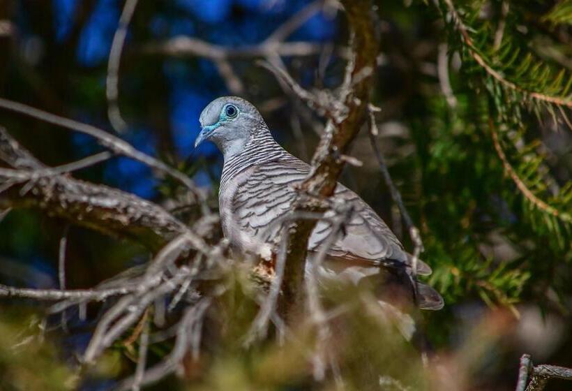 家庭洋房, Ash S Holiday Units