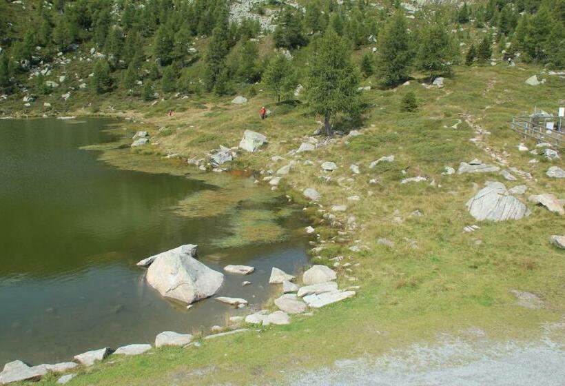 חדר סטנדרט יחיד, Rifugio Viviani Pradalago