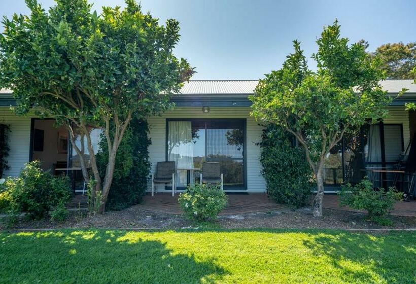 إستوديو قياسى, Karri Aura