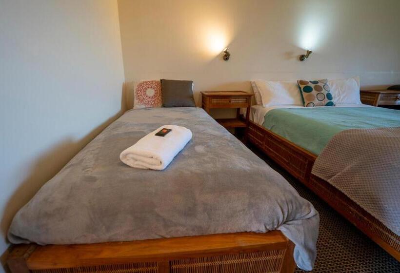 Студия Стандарт, Karri Aura