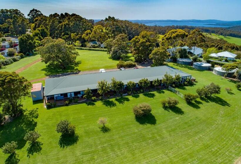 Студия Стандарт, Karri Aura