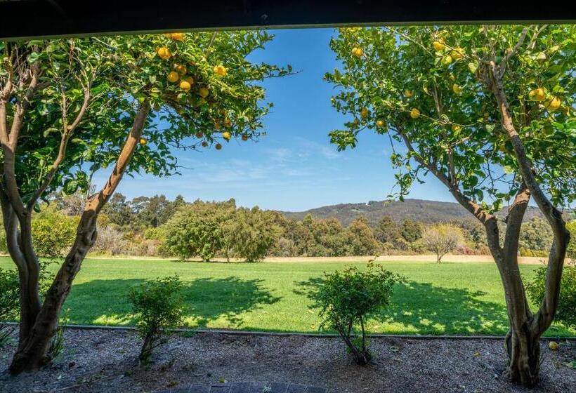 غرفة عائلية مطلّة علي الجبل, Karri Aura