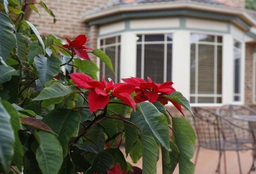 Номер Deluxe, Kiama Guesthouse