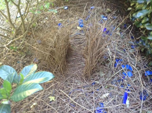 חדר סטנדרט, Kiama Guesthouse