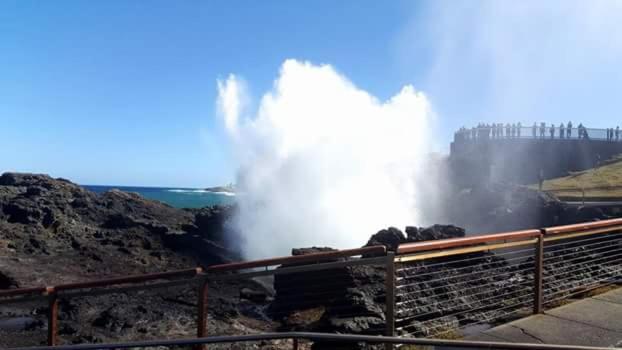 חדר דלוקס, Kiama Guesthouse