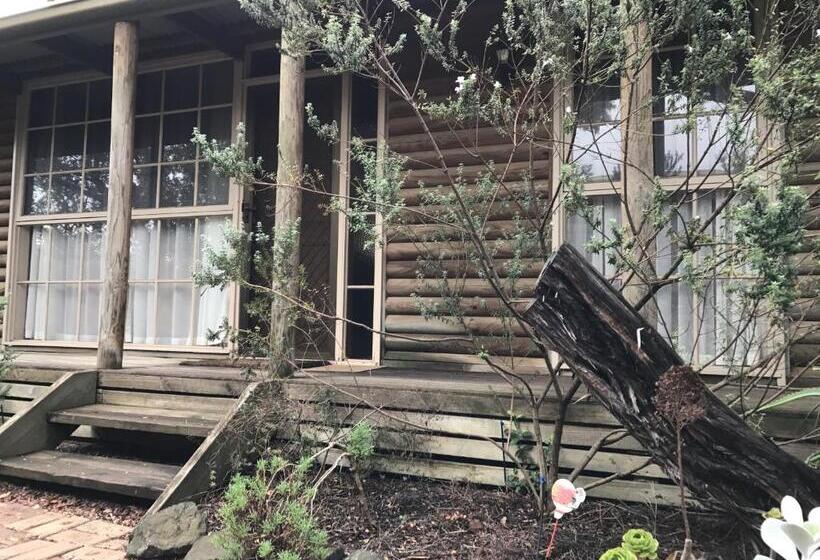 וילה בת 2 חדרי שינה, Ti Tree Village