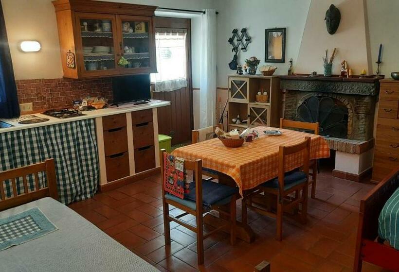 스탠다드 스튜디오, Artenatura Beb