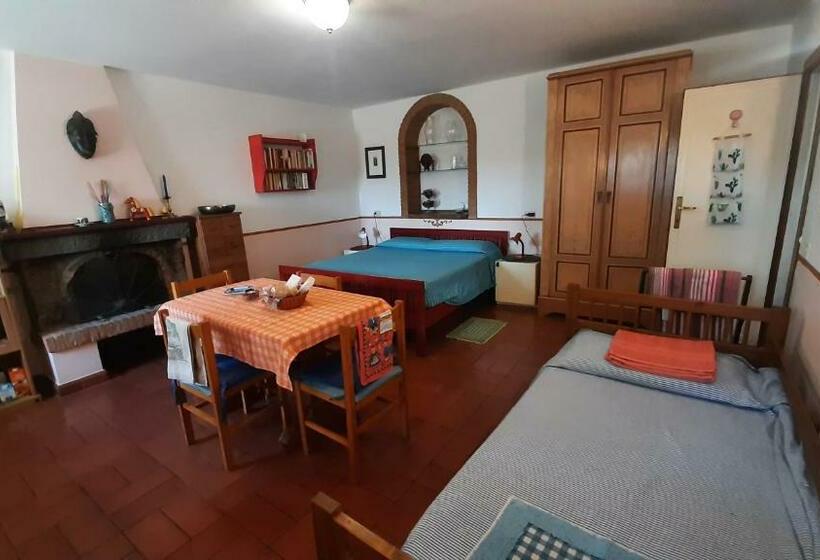 스탠다드 스튜디오, Artenatura Beb