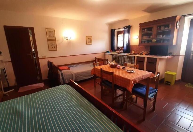 스탠다드 스튜디오, Artenatura Beb