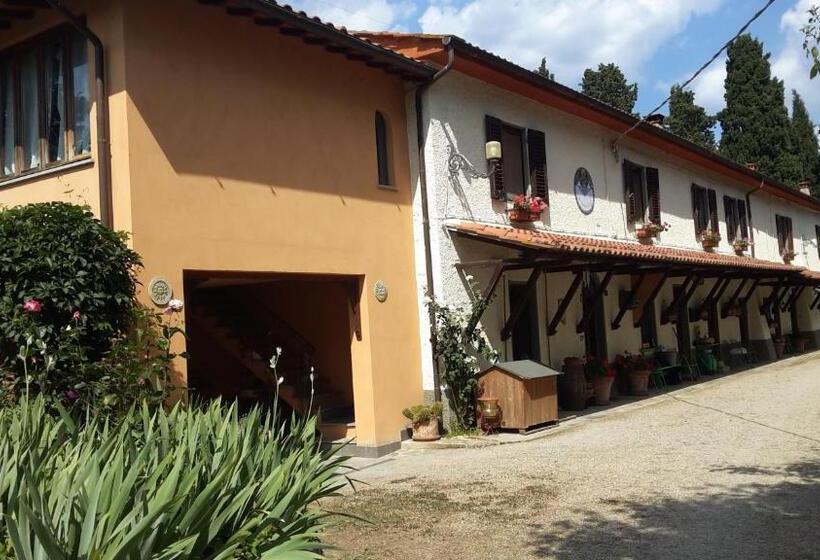 스탠다드 스튜디오, Artenatura Beb