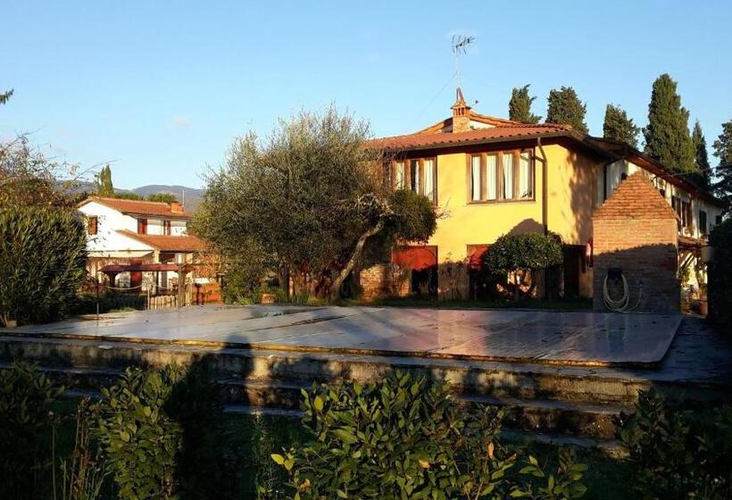 스탠다드 스튜디오, Artenatura Beb