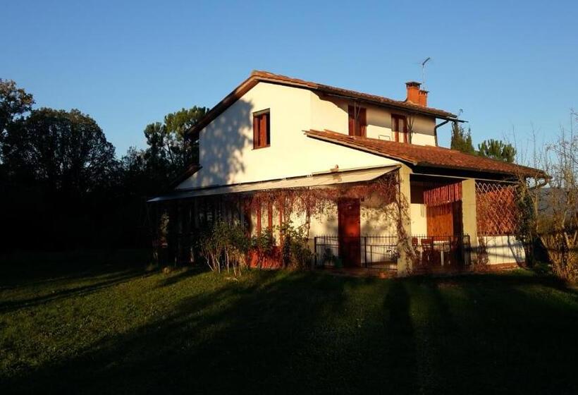 스탠다드 스튜디오, Artenatura Beb