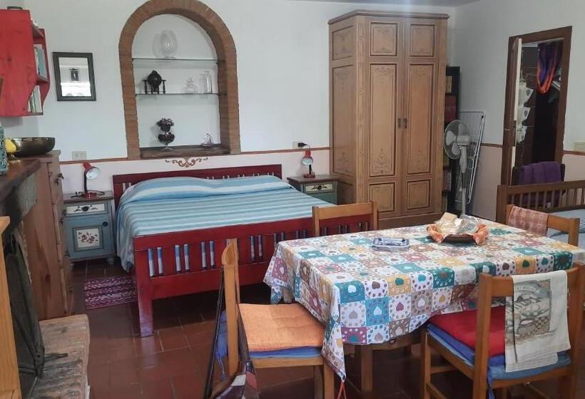 스탠다드 스튜디오, Artenatura Beb