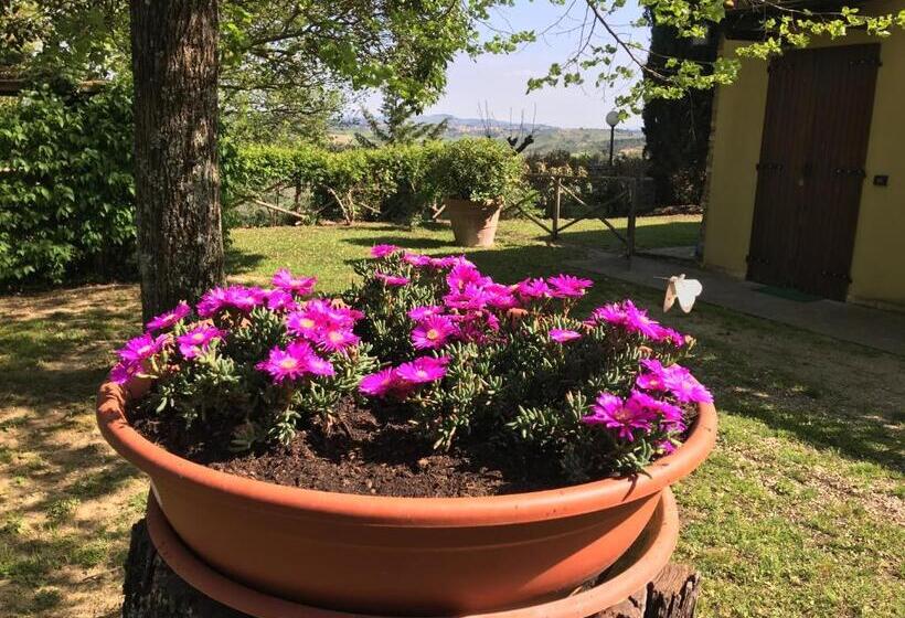 דירת חדר, Podere Casanova