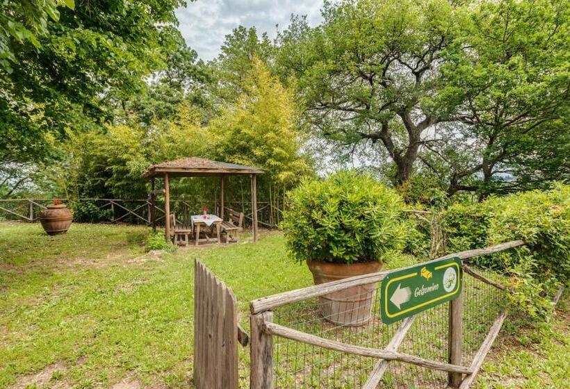 Апартаменты 1 Спальня, Podere Casanova
