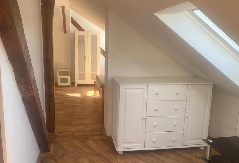 1ベッドルームアパートメント, Penzion První Liga