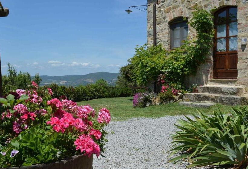 דירת שני חדרים, Bellavista