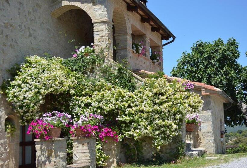 דירת חדר בקומת קרקע, Bellavista