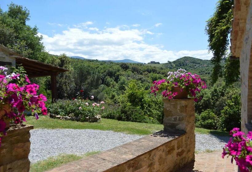 דירת חדר בקומת קרקע, Bellavista