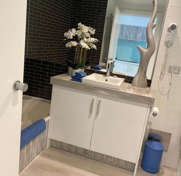 스탠다드 스튜디오, Lorne World