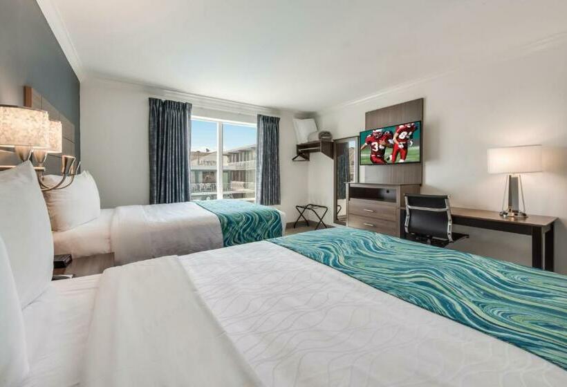 豪华套房, Le Voyageur A Red Collection