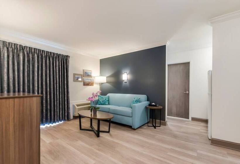 豪华套房, Le Voyageur A Red Collection