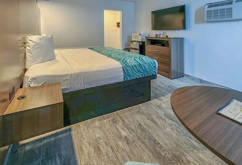 豪华房间, Le Voyageur A Red Collection