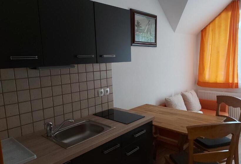 Basic Room, Apartments And Rooms Martuljk