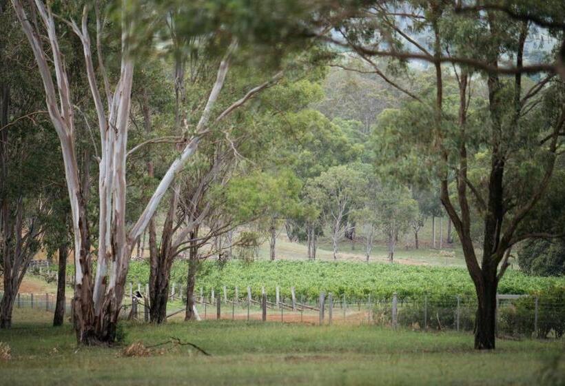 Люкс Кровать Кинг, Elfin Hill Vineyard Accommodation