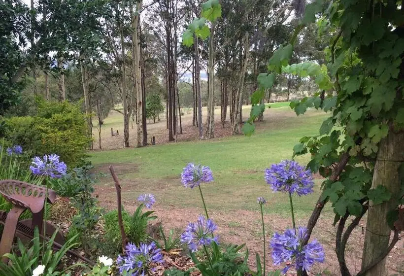 スイート（家族用）, Elfin Hill Vineyard Accommodation