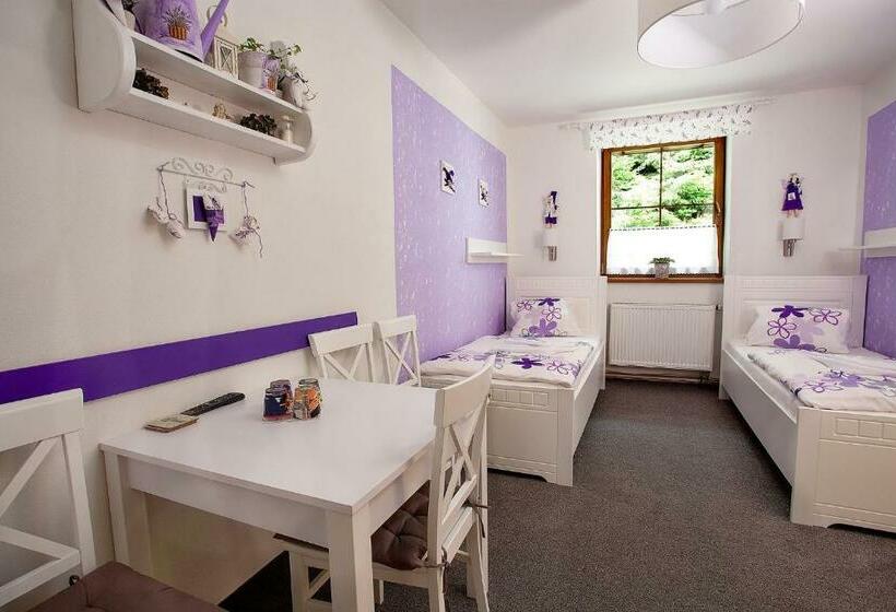 غرفة قياسية رباعية, Wellness Penzion Harmonie Rohanov