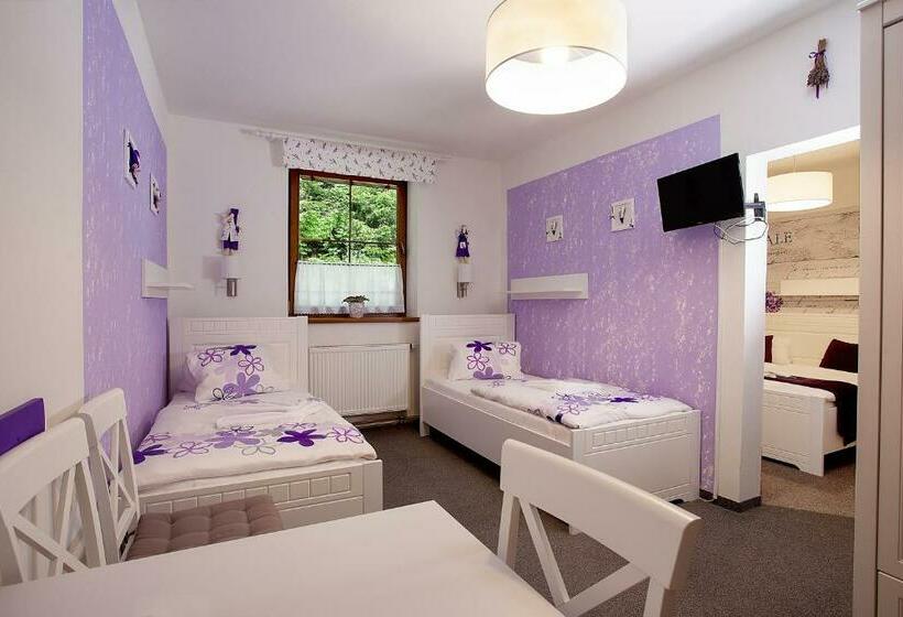 غرفة قياسية رباعية, Wellness Penzion Harmonie Rohanov