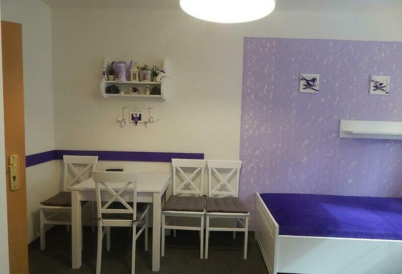 غرفة قياسية رباعية, Wellness Penzion Harmonie Rohanov