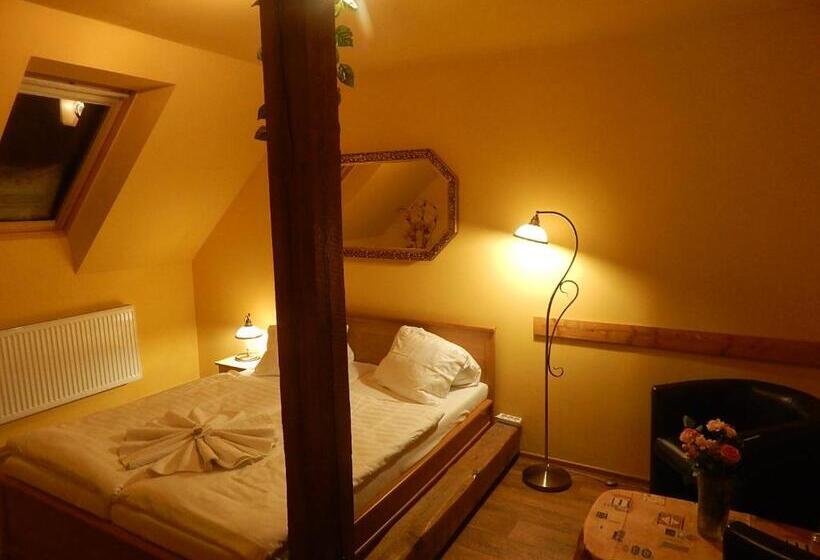 غرفة قياسية, Wellness Penzion Harmonie Rohanov