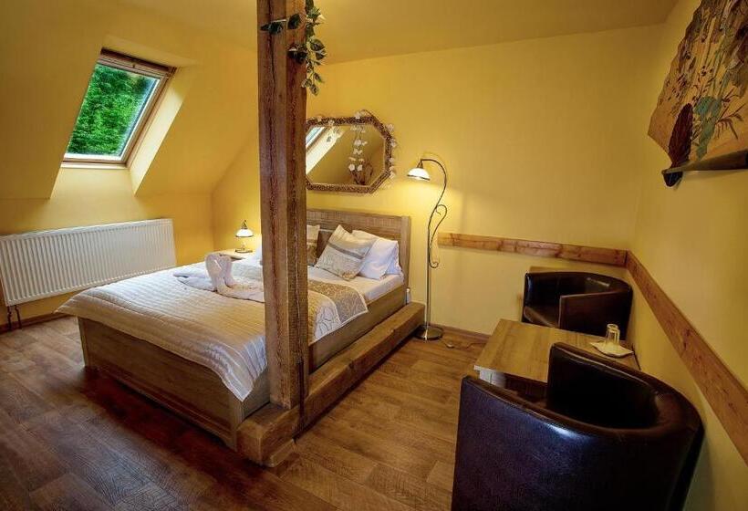 غرفة قياسية, Wellness Penzion Harmonie Rohanov