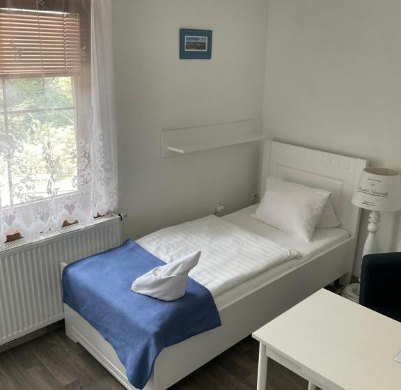 غرفة قياسية فردية, Wellness Penzion Harmonie Rohanov