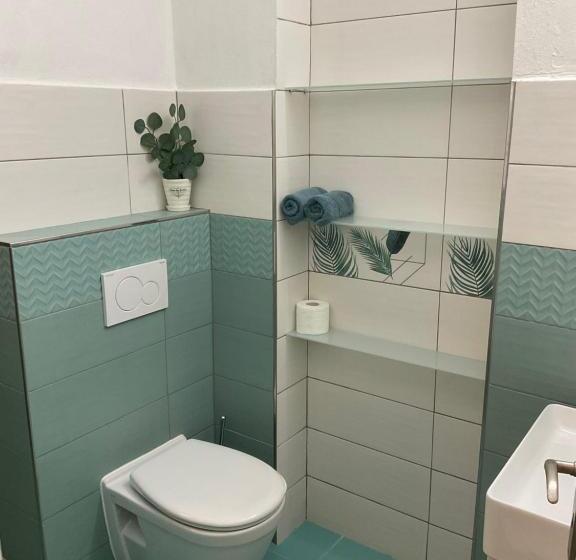 غرفة قياسية سرير كينج, Wellness Penzion Harmonie Rohanov