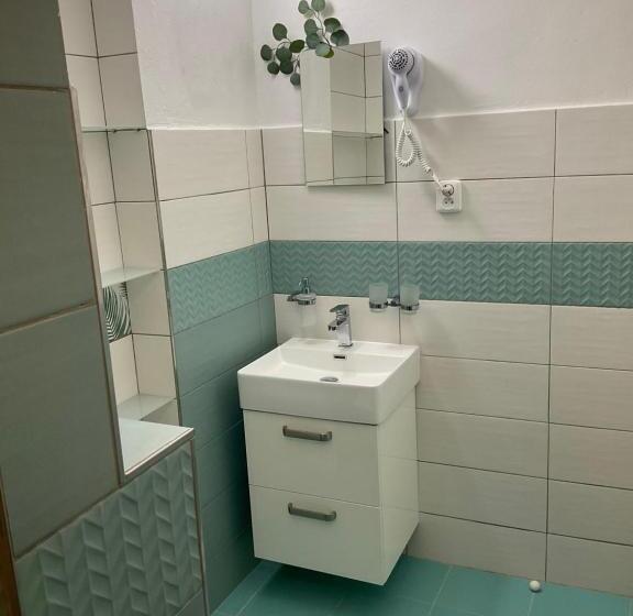 غرفة قياسية سرير كينج, Wellness Penzion Harmonie Rohanov