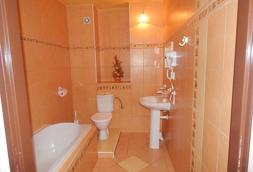 غرفة قياسية, Wellness Penzion Harmonie Rohanov