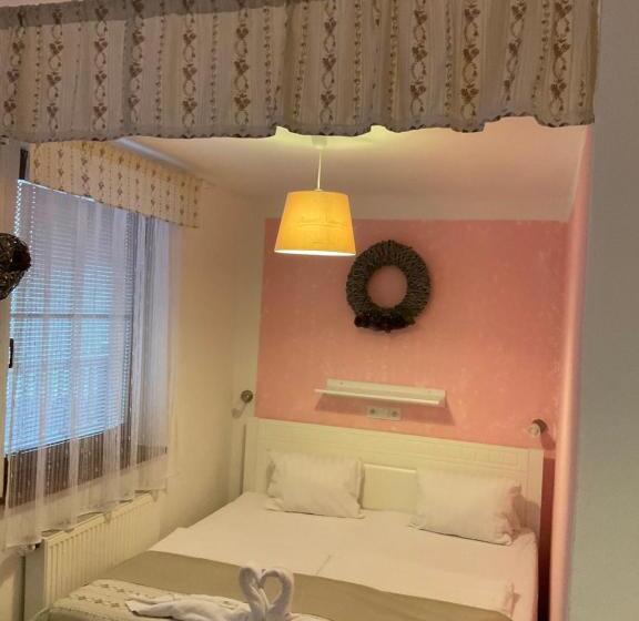 غرفة قياسية, Wellness Penzion Harmonie Rohanov