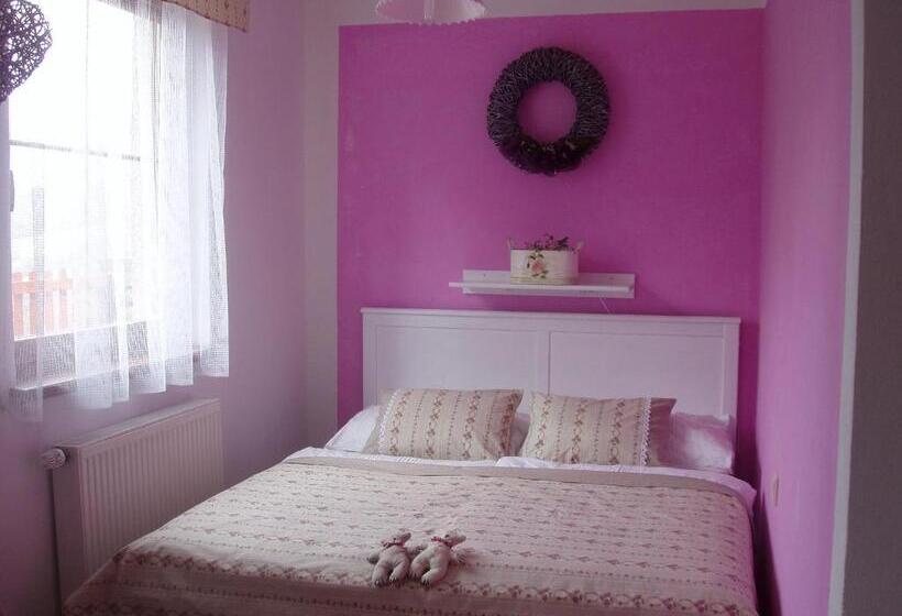 غرفة قياسية, Wellness Penzion Harmonie Rohanov