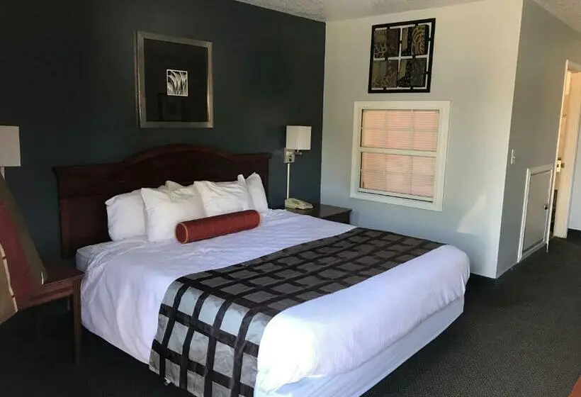 キングサイズベッドのスタンダードルーム, Ouachita Mountain Inn