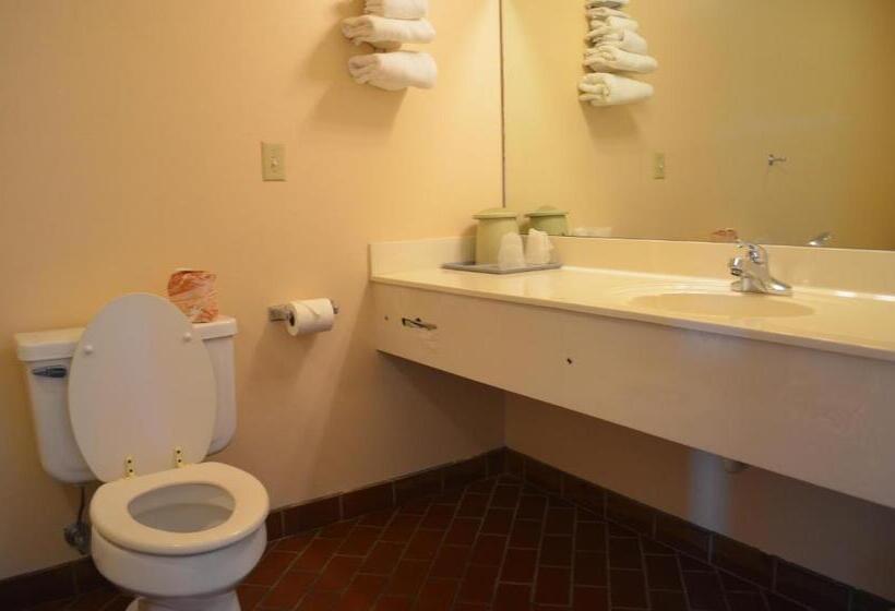 غرفه قياسيه سريرين مزدوجين, Ouachita Mountain Inn