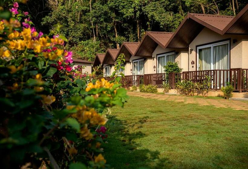 کابین, Stone Wood Nature Resort, Gokarna